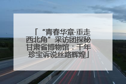 “青春华章·重走西北角”采访团探秘甘肃省博物馆：千年珍宝诉说丝路辉煌
