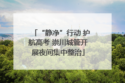 “静净”行动 护航高考 崇川城管开展夜间集中整治