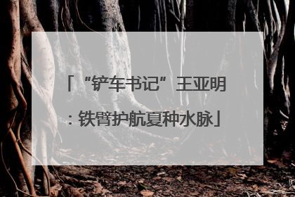 “铲车书记”王亚明：铁臂护航夏种水脉