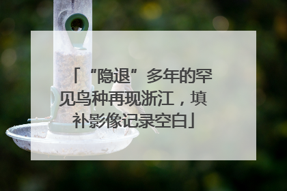 “隐退”多年的罕见鸟种再现浙江，填补影像记录空白