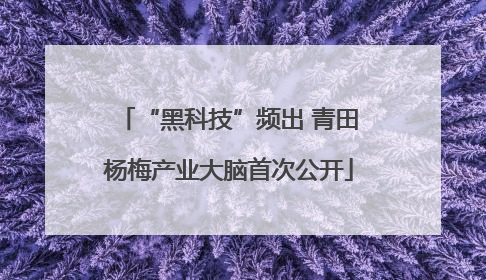 “黑科技”频出 青田杨梅产业大脑首次公开