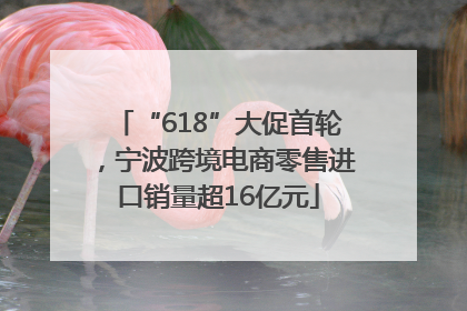 “618”大促首轮，宁波跨境电商零售进口销量超16亿元