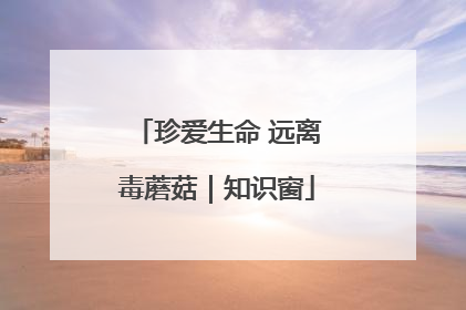 珍爱生命 远离毒蘑菇｜知识窗