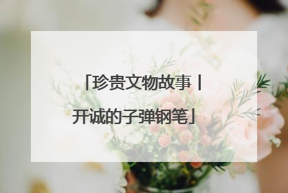 珍贵文物故事丨开诚的子弹钢笔