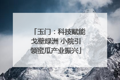 玉门：科技赋能戈壁绿洲 小院引领蜜瓜产业振兴