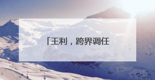 王利，跨界调任大型国企董事长