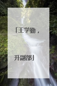 王学勤，升副部