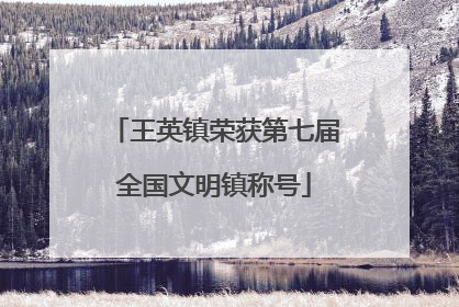 王英镇荣获第七届全国文明镇称号