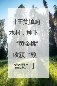 王集镇响水村：种下“黄金桃” 收获“致富果”