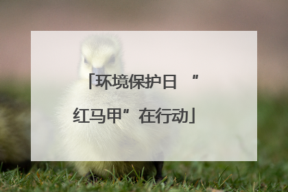 环境保护日 “红马甲”在行动