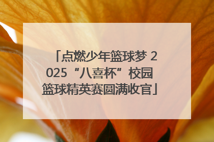 点燃少年篮球梦 2025“八喜杯”校园篮球精英赛圆满收官