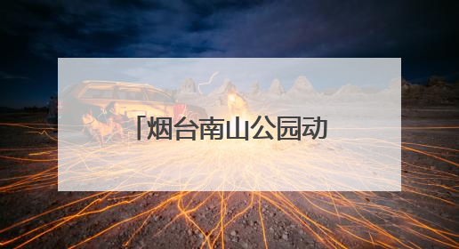 烟台南山公园动物园喜迎上海长颈鹿“新娘”