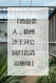 热浪袭人，德州沙王河公园打造清凉秘境