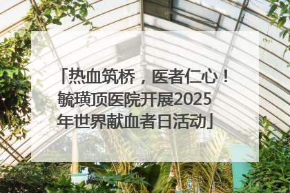 热血筑桥，医者仁心！毓璜顶医院开展2025年世界献血者日活动