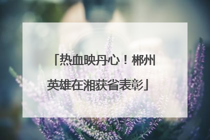 热血映丹心！郴州英雄在湘获省表彰