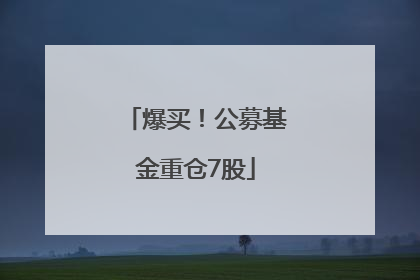 爆买！公募基金重仓7股