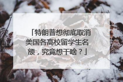 特朗普想彻底取消美国各高校留学生名额，究竟想干啥？