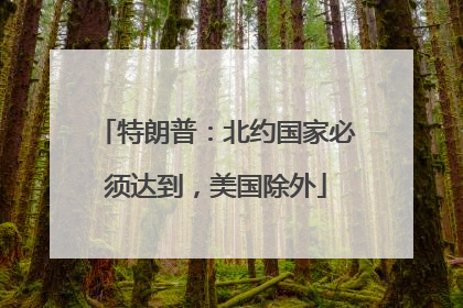 特朗普：北约国家必须达到，美国除外