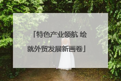 特色产业领航 绘就外贸发展新画卷