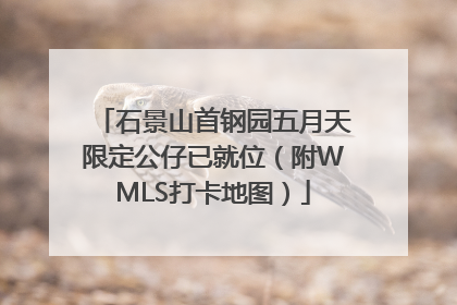石景山首钢园五月天限定公仔已就位（附WMLS打卡地图）