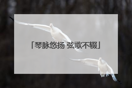 琴脉悠扬 弦歌不辍