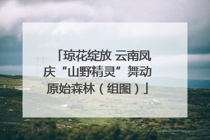 琼花绽放 云南凤庆“山野精灵”舞动原始森林（组图）