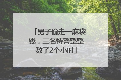 男子偷走一麻袋钱，三名特警整整数了2个小时