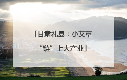 甘肃礼县：小艾草“链”上大产业