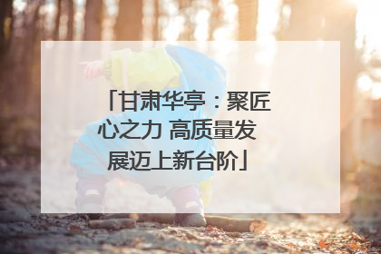 甘肃华亭：聚匠心之力 高质量发展迈上新台阶