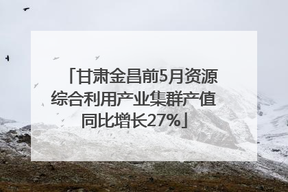 甘肃金昌前5月资源综合利用产业集群产值同比增长27%