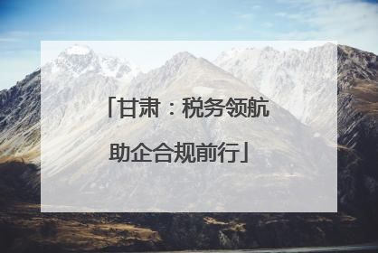 甘肃：税务领航 助企合规前行