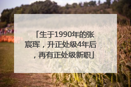 生于1990年的张宸珲，升正处级4年后，再有正处级新职