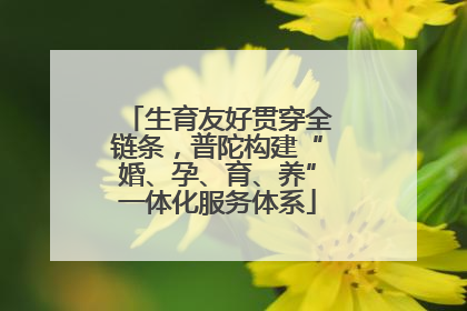 生育友好贯穿全链条，普陀构建“婚、孕、育、养”一体化服务体系