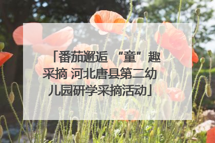 番茄邂逅 “童”趣采摘 河北唐县第二幼儿园研学采摘活动
