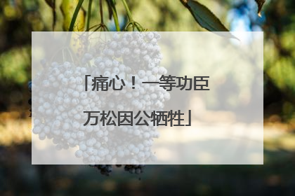 痛心！一等功臣万松因公牺牲