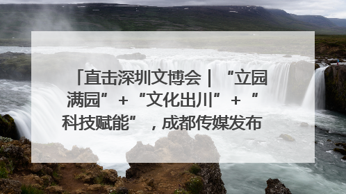 直击深圳文博会｜“立园满园”+“文化出川”+“科技赋能”，成都传媒发布三大文创领域合作清单
