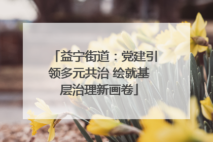 益宁街道：党建引领多元共治 绘就基层治理新画卷