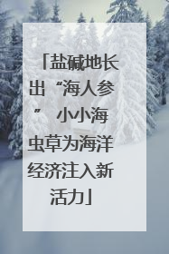 盐碱地长出“海人参” 小小海虫草为海洋经济注入新活力