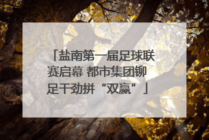 盐南第一届足球联赛启幕 都市集团铆足干劲拼“双赢”