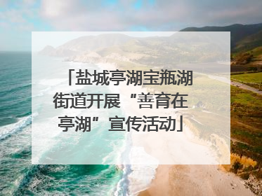 盐城亭湖宝瓶湖街道开展“善育在亭湖”宣传活动
