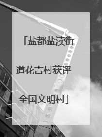 盐都盐渎街道花吉村获评全国文明村