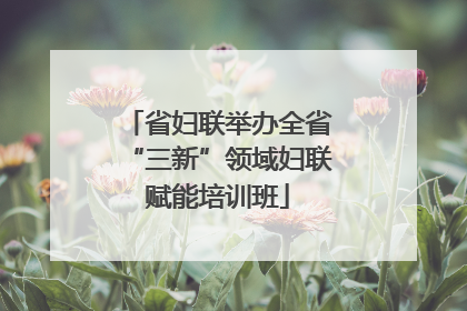 省妇联举办全省“三新”领域妇联赋能培训班