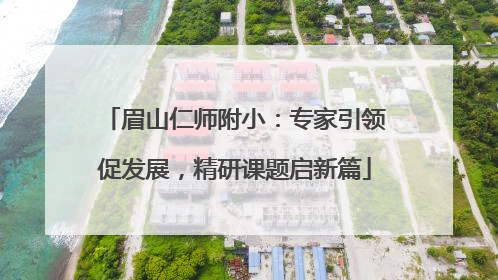 眉山仁师附小：专家引领促发展，精研课题启新篇
