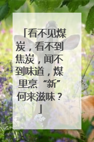 看不见煤炭，看不到焦炭，闻不到味道，煤里烹“新”何来滋味？