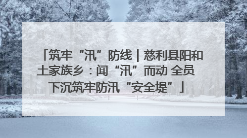 筑牢“汛”防线｜慈利县阳和土家族乡：闻“汛”而动 全员下沉筑牢防汛“安全堤”