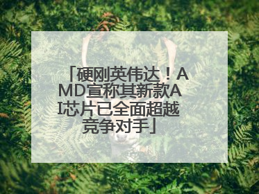 硬刚英伟达！AMD宣称其新款AI芯片已全面超越竞争对手