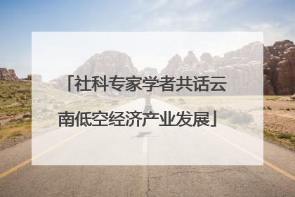 社科专家学者共话云南低空经济产业发展