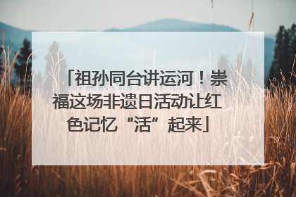 祖孙同台讲运河！崇福这场非遗日活动让红色记忆“活”起来