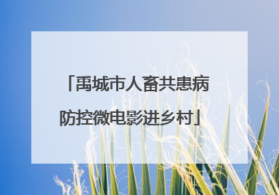 禹城市人畜共患病防控微电影进乡村