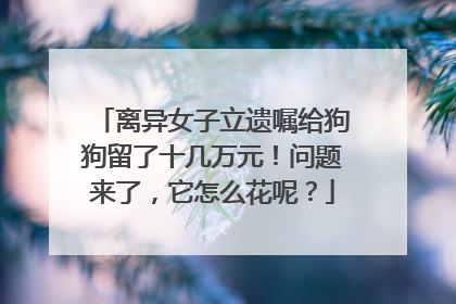 离异女子立遗嘱给狗狗留了十几万元！问题来了，它怎么花呢？